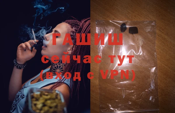 PSILOCYBIN Верея